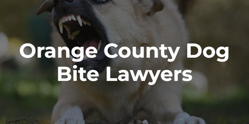 orange county dog bite lawyer 
