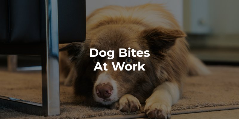 Dog Bites at Work